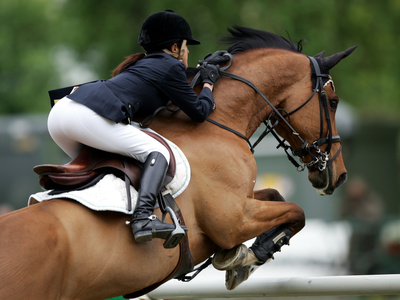 Pferd und Reiter