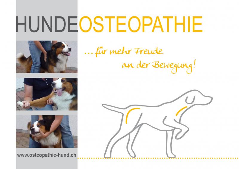 Hundecheck